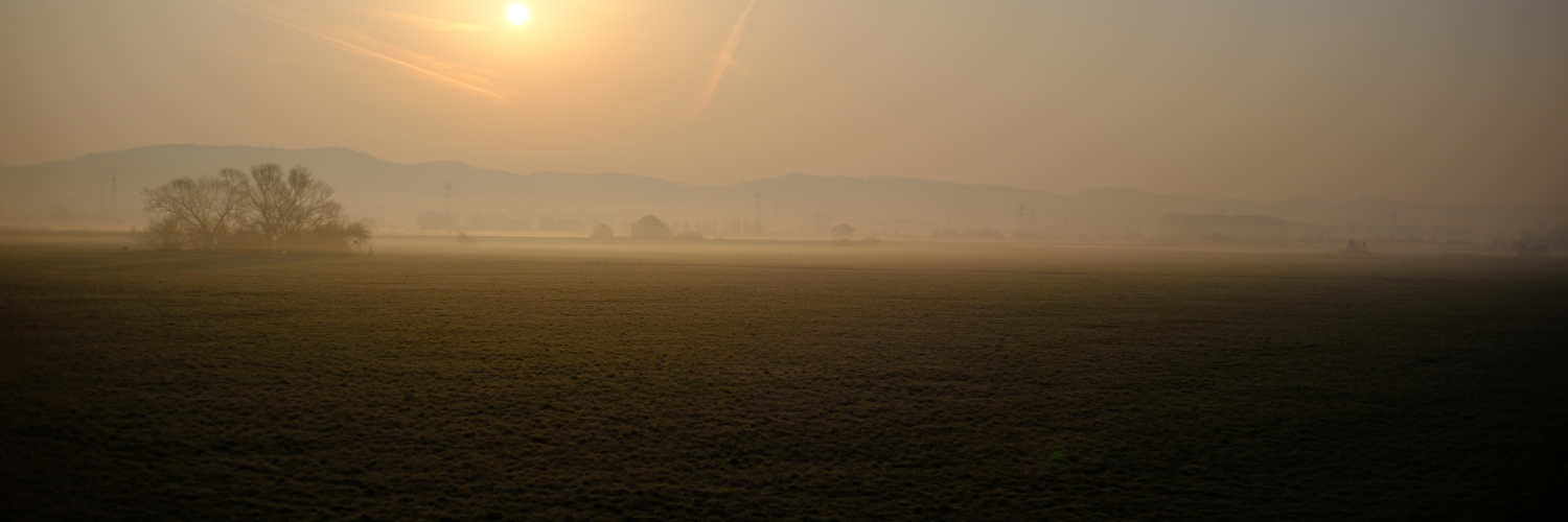 Header Image