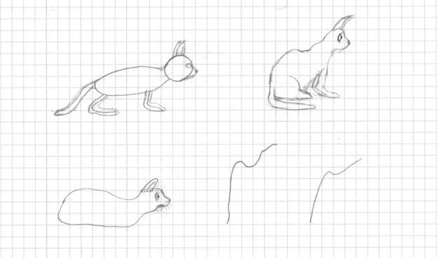 Three pencil sketches of a cat. The first (top left) uses very basic, round shapes. The second (bottom left) is of a cat loaf without visible legs of tail, looking forwards in a slightly worried expression. The third (top right) is of a cat sitting on its hind legs, tail curled around the body, looking forwards in anticipation.