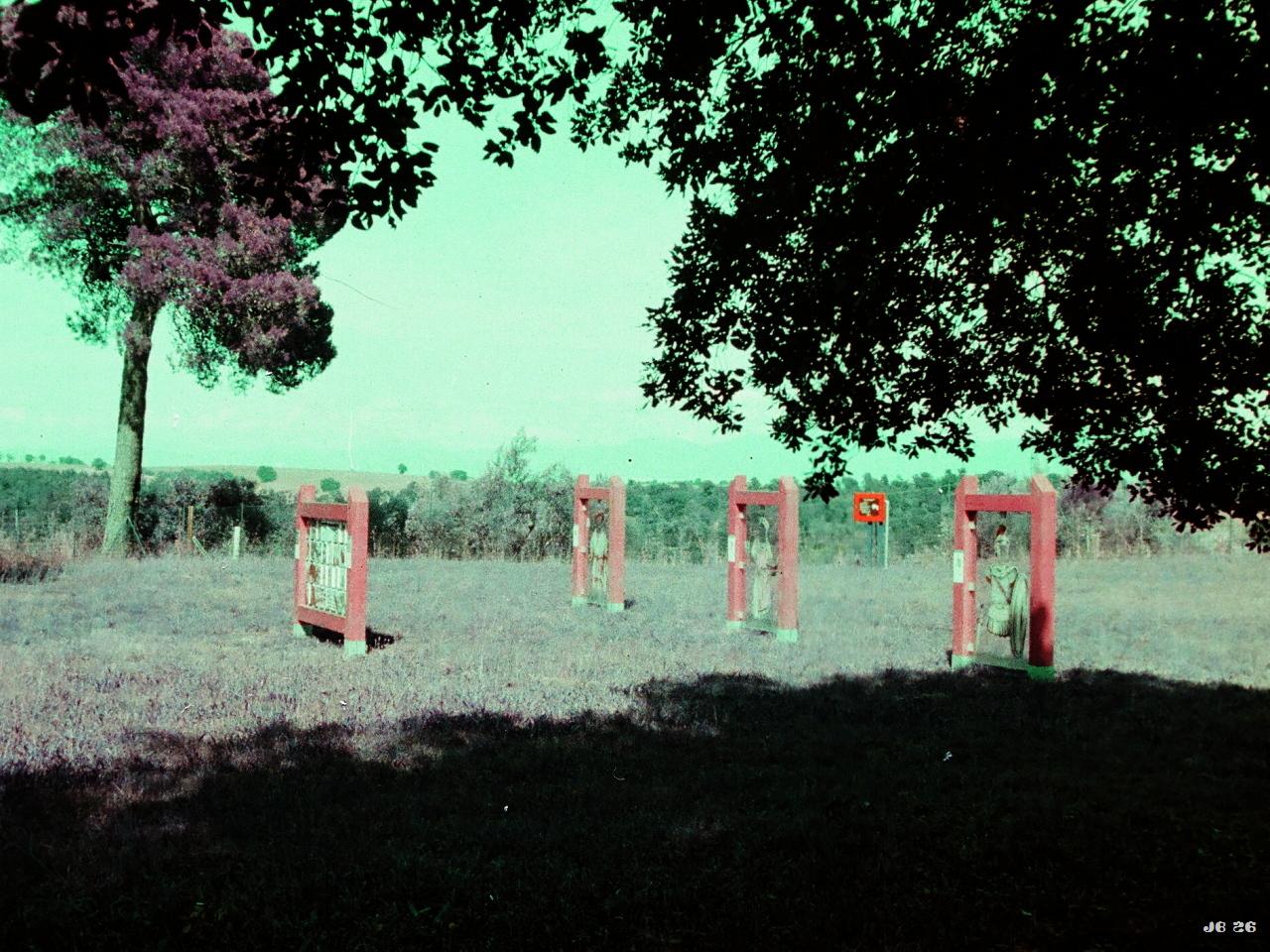 Vier Holzgestelle, in denen museale Inhalte zur römischen Geschichte aufgehängt sind. Park um den Arco di Malborghetto, ein historisches Monument in der Nähe von Porta di Roma. Olympus Pen EES-2 auf Lomochrome Purple-Film.
